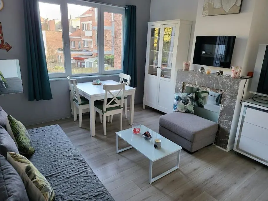Appartement Cosy Anderlecht Брюссель